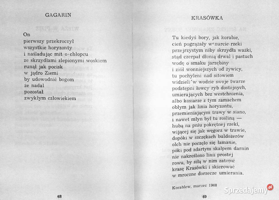 Trzy struny Igor Sikirycki lubelskie