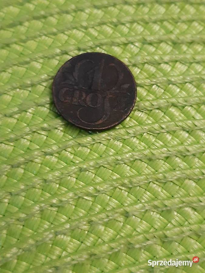 moneta polska 1 grosz z 1923r Numizmatyka Łomża