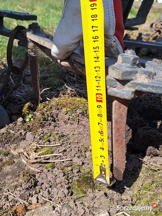 Brony polne 3 Krotoszyn