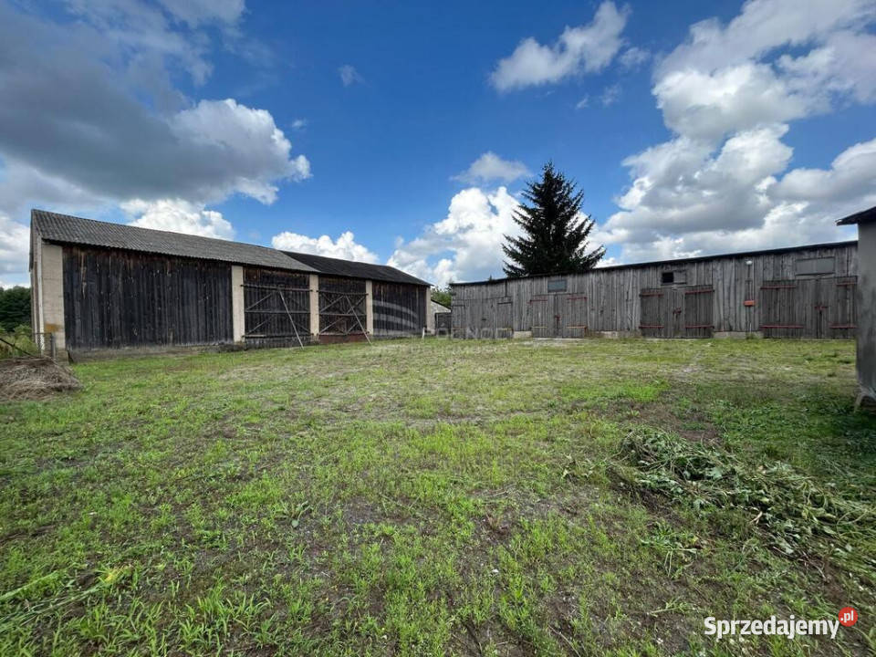 Siedlisko z budynkami gospodarczymi i 16 ha 97m2 mazowieckie Czuchleby