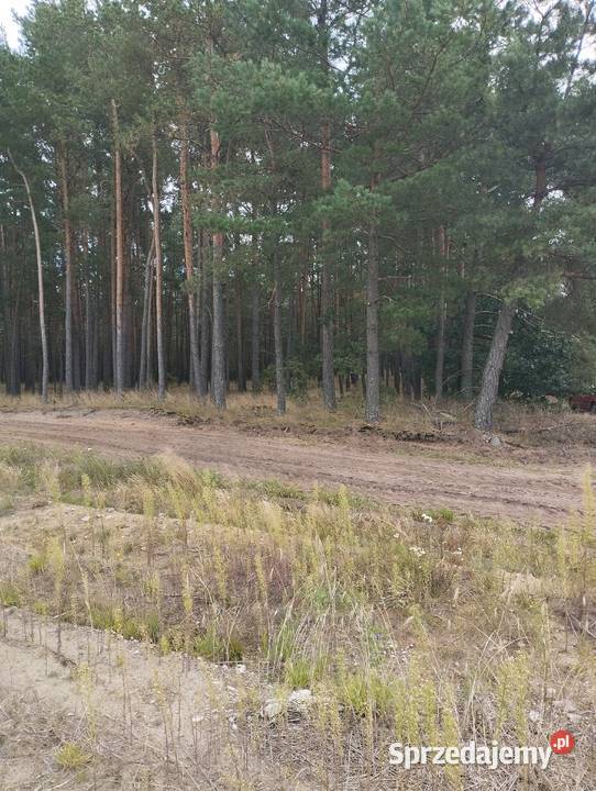 Sprzedam działki leśne Zamość