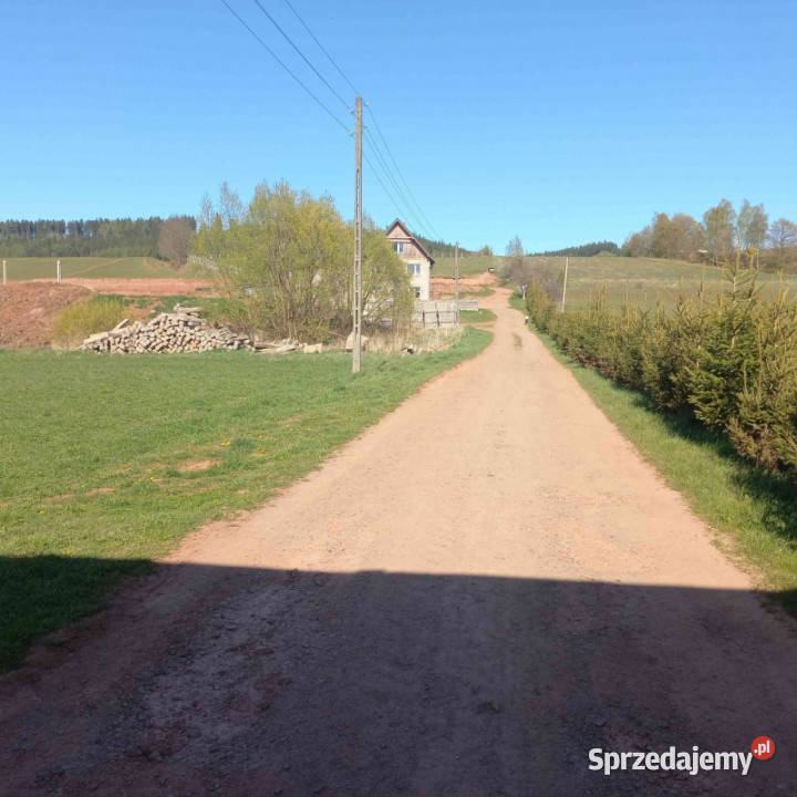 sprzedam gospodarstwo rolne 9zł/m2 dolnośląskie Olszyny