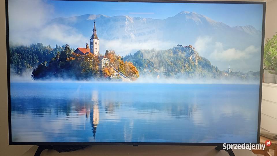 Telewizor LG 55 LCD lubelskie Kock