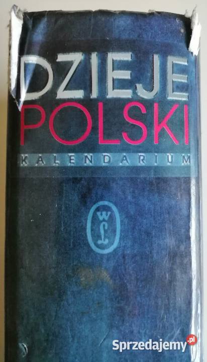 Książka Dzieje Polski