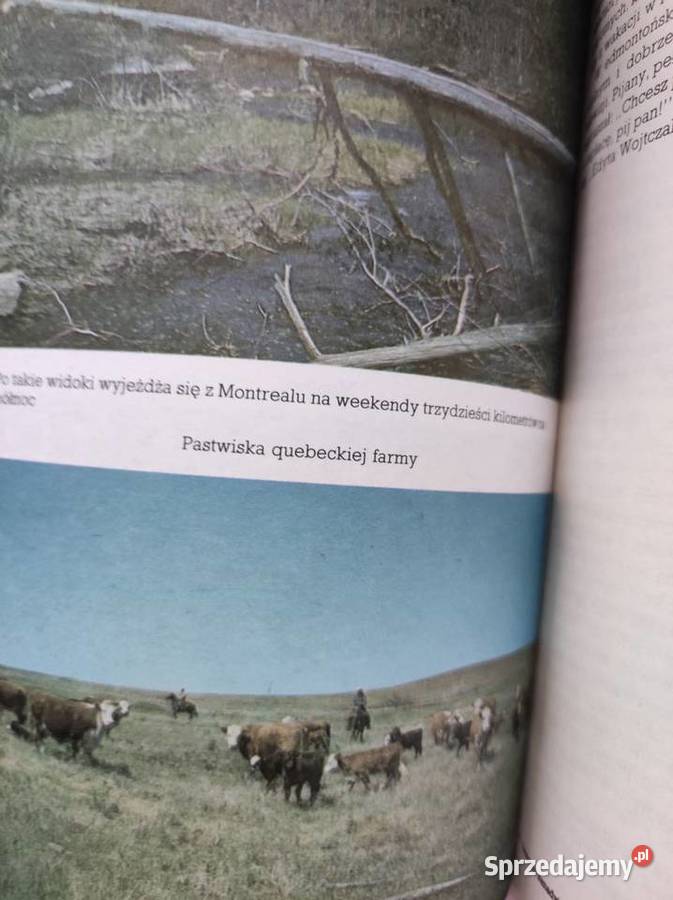 Ameryka kanadyjska Jan Zakrzewski reportaż Pozostałe Kielce sprzedam