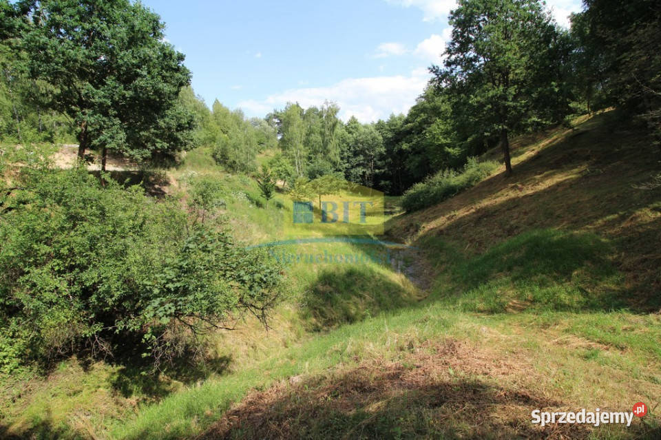 Unikatowe działki Jeziorem Komorze Czarne Wielkie sprzedam