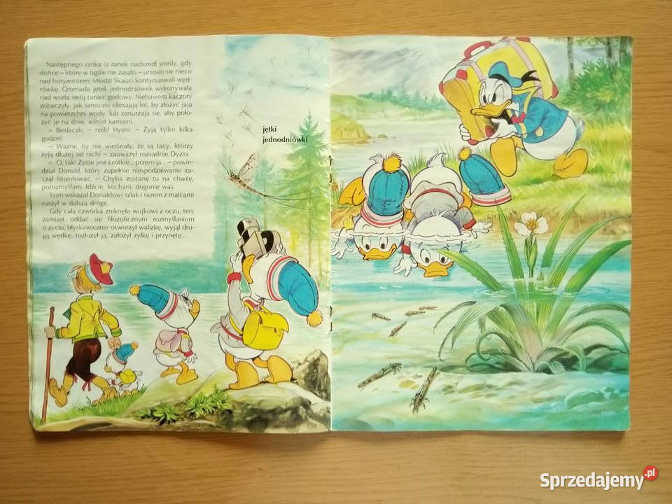Wyprawa łososiowym szlakiem Kaczor Donald 1993r Książki dla dzieci Dąbrowa Górnicza