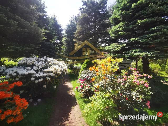 Grunt 506m2 Władysławów