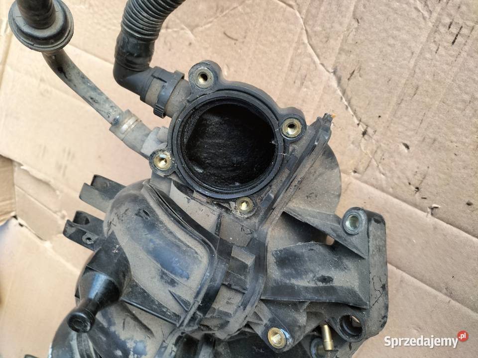 SEAT IBIZA 3 FABIA 1POLO 9N 14 16V 036129711DP Kamień-Kolonia