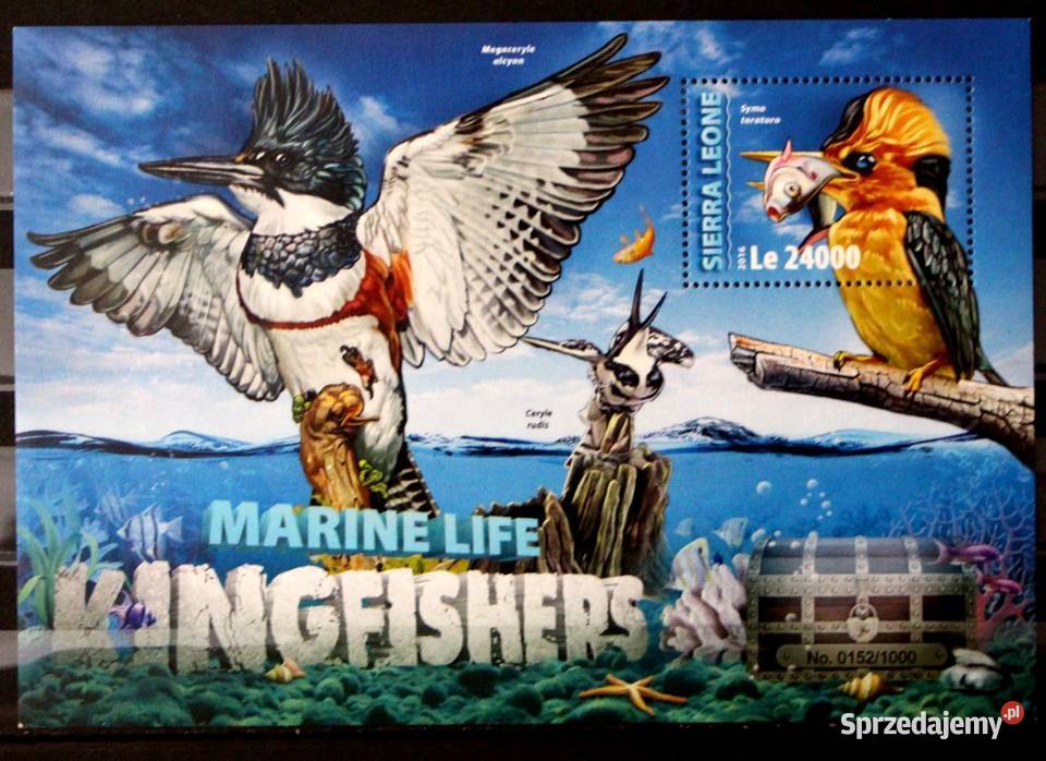 Sierra Leone ptaki Oborniki