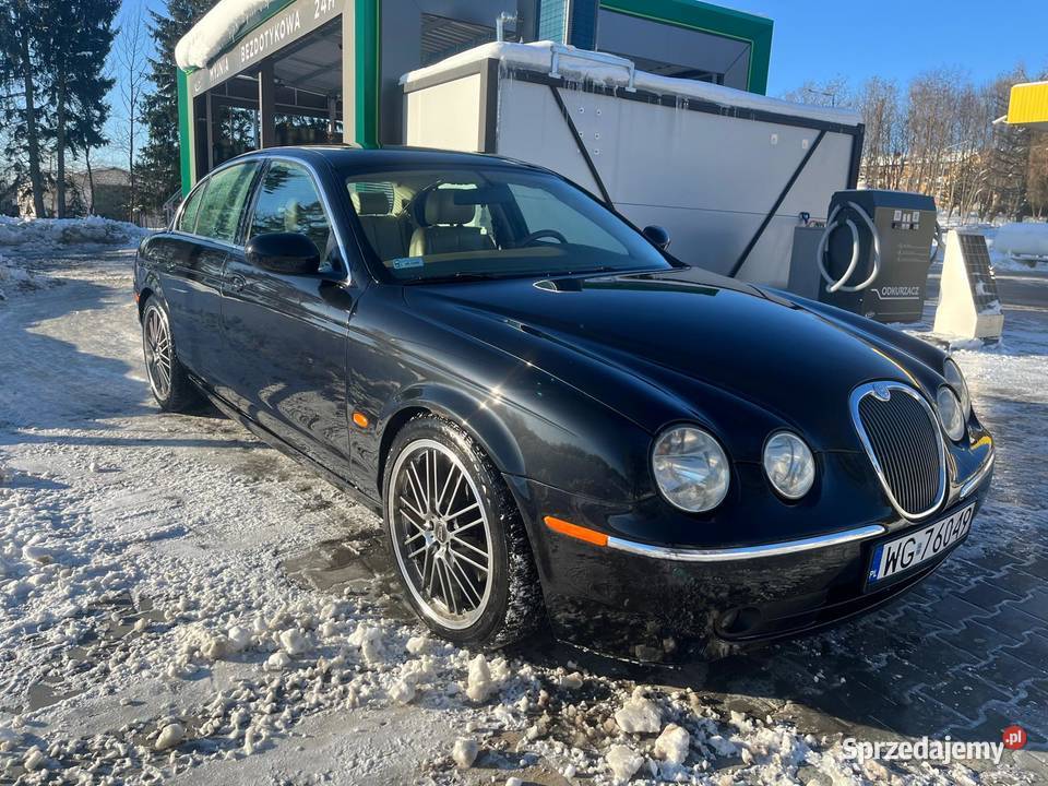 Jaguar stype Zamość