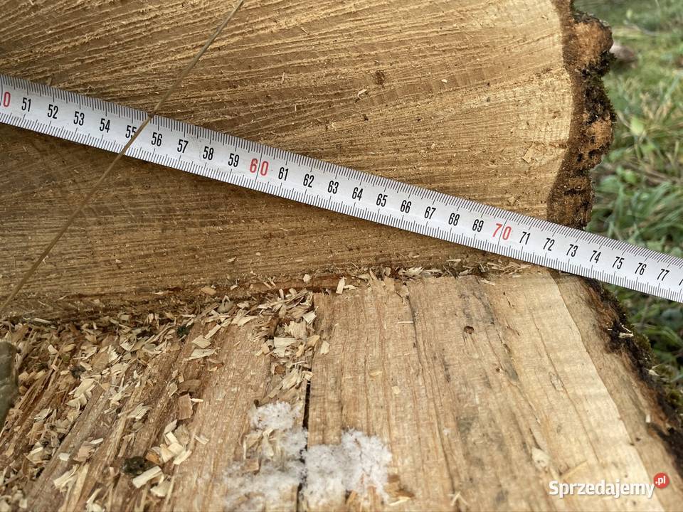 Jesion Kłoda Pniak 7 i 8M długości 60 średnica