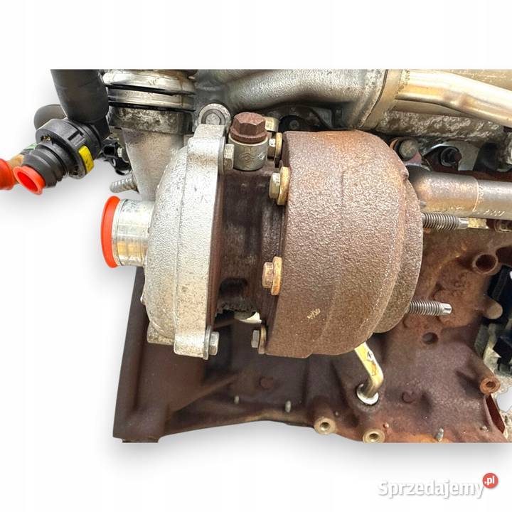SILNIK K9K282 Nissan Qashqai J10 15 DCI 106 Chełm
