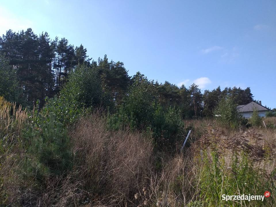 DZIAŁKA BUDOWLANA Z LASEM 1500M2 PIŁA DOLASZEWO Sprzedaż