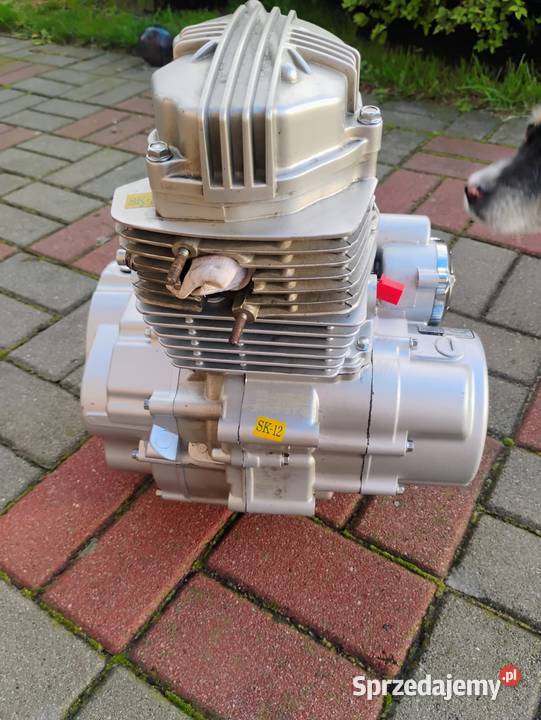 SILNIK 125 cc SK156FMI Majdan Królewski
