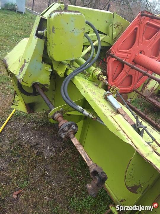 Heder do rzepaku Claas dominator Kotuń