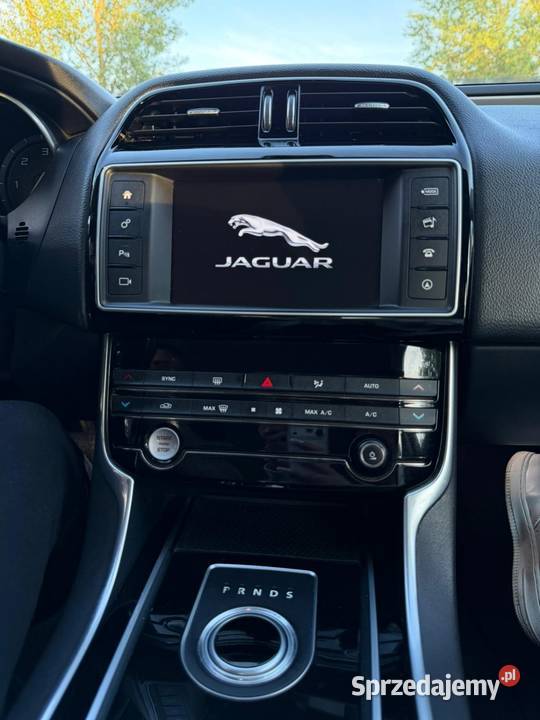 Jaguar XE mazowieckie
