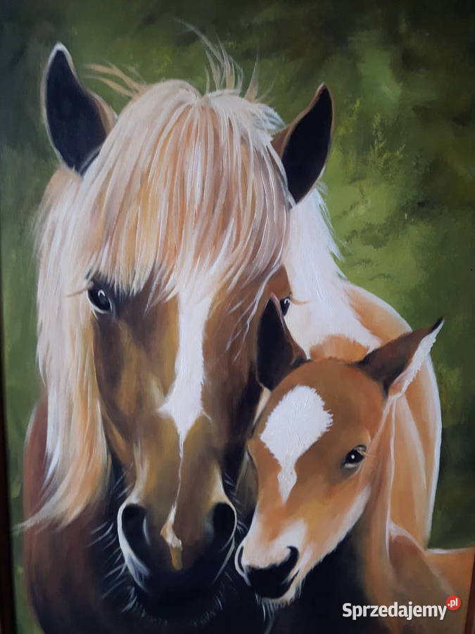 Portret konia z żrebakiem obraz olejny Warszawa sprzedam