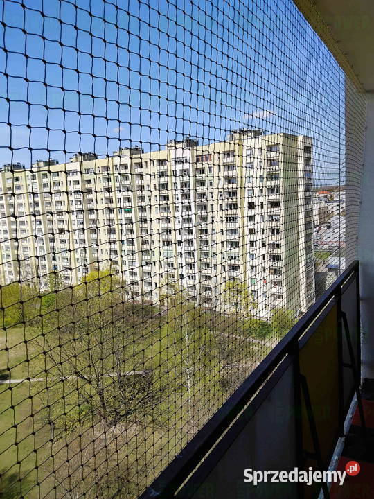 Założenie siatki przeciw ptakom Warszawa Siatka