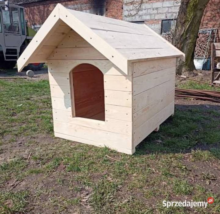 Buda psa Izbica Kujawska sprzedam