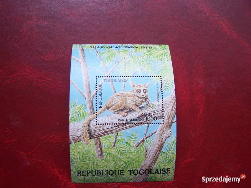 Togo 1984 MNH Mi 176366 Fauna Zwierzęta Małpy sprzedam