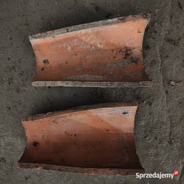 Gąsiory dachowe Gorzyce Wielkie