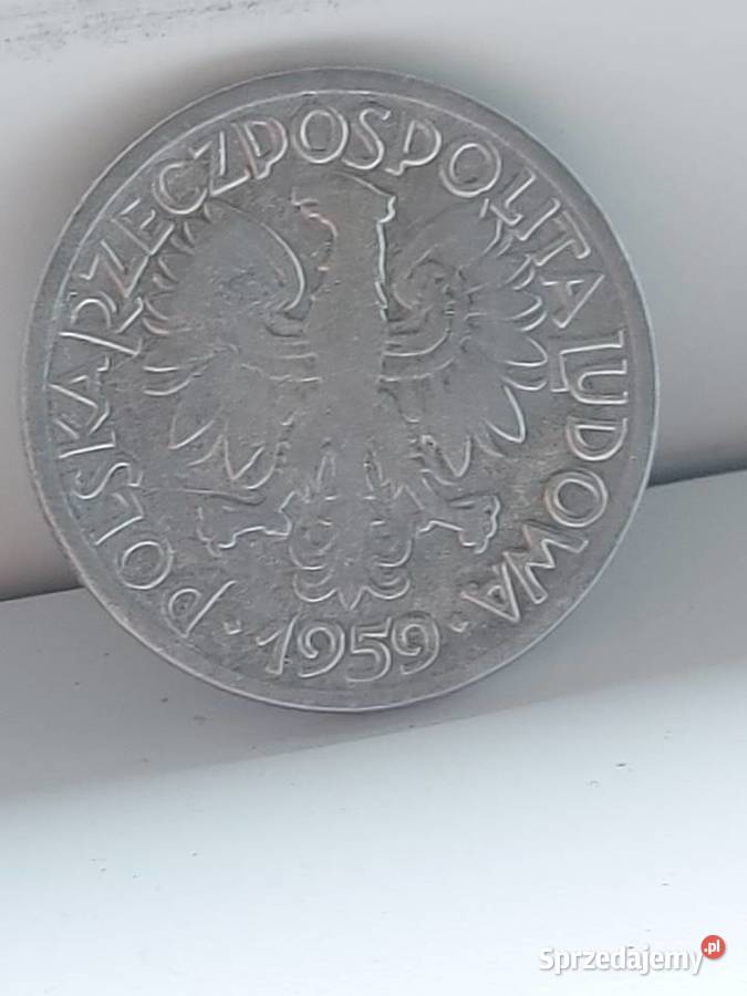 2 tak zwane jagodzianki 1959 Jelenia Góra sprzedam