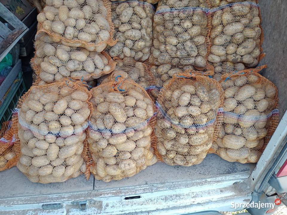 Ziemniaki jadalne dolnośląskie sprzedam