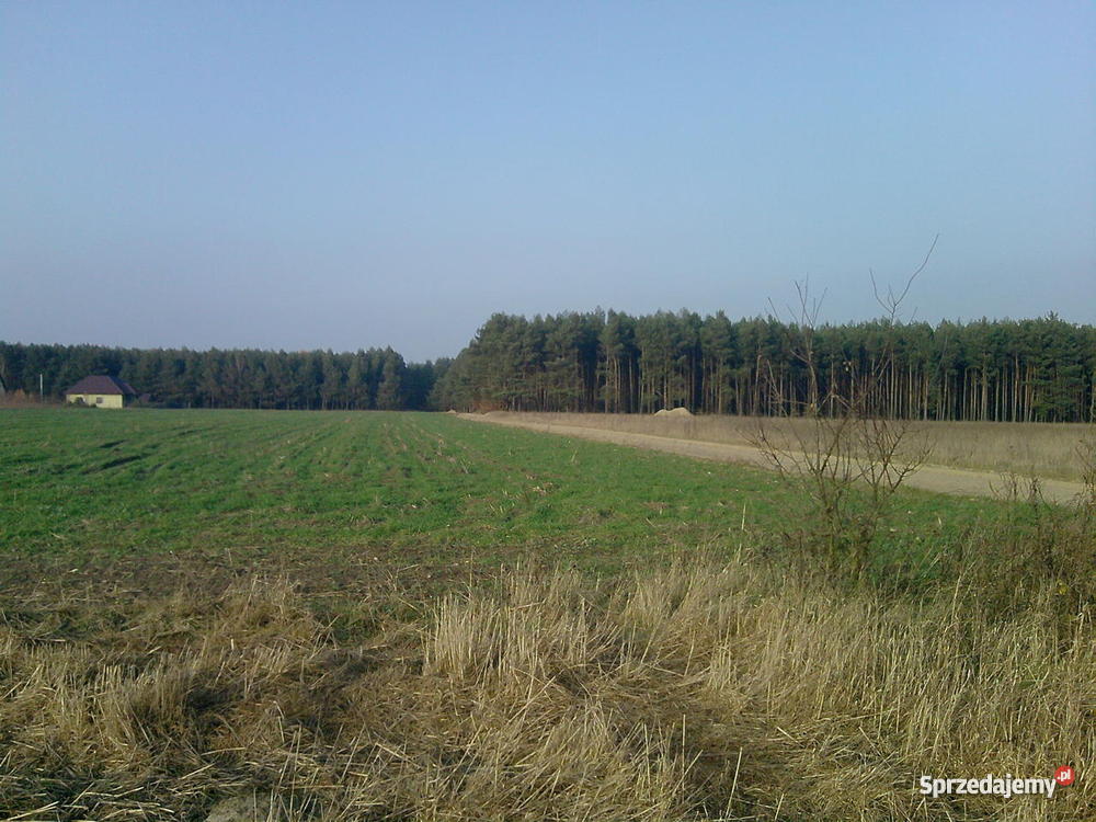 działkę odrolnioną pod zabudowę prąd Omięciny