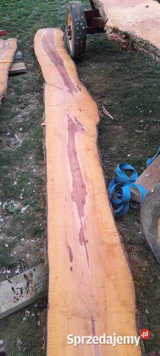 Brusy czereśnia gruszka 57 Pozostałe Babica