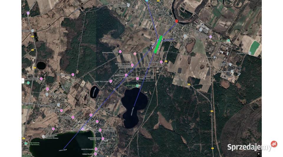 Jezioro Białe Glinki Okuninka Orchówek Włodawa lubelskie