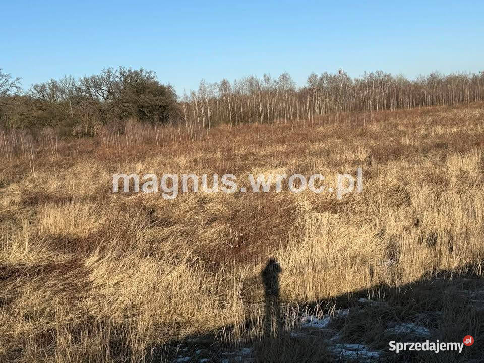 Oferuję działke rolną Bystrzycą w Jerzmanowie 0m Wrocław