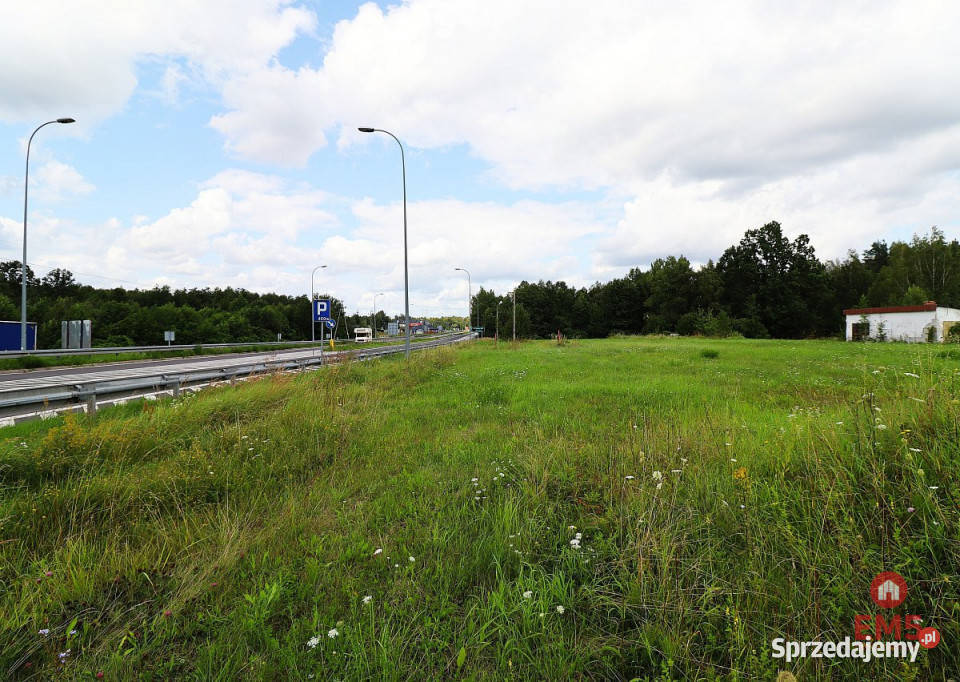 Działka Hołny Mejera 8375m2 Sprzedaż sprzedam
