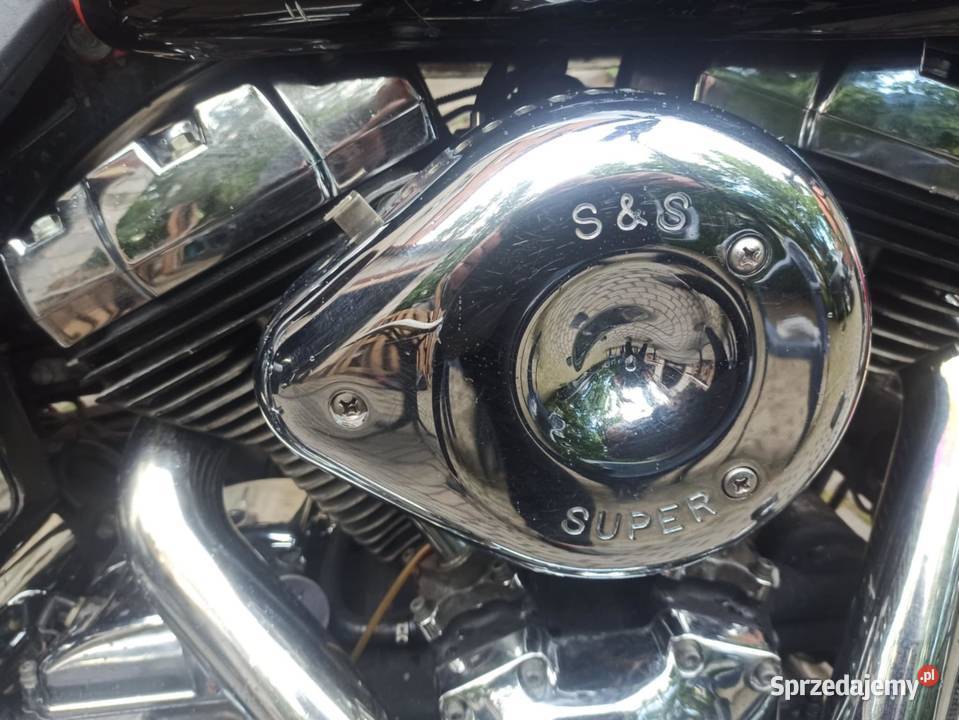 HarleyDavidson Fxdwg Wide Glide Złotów