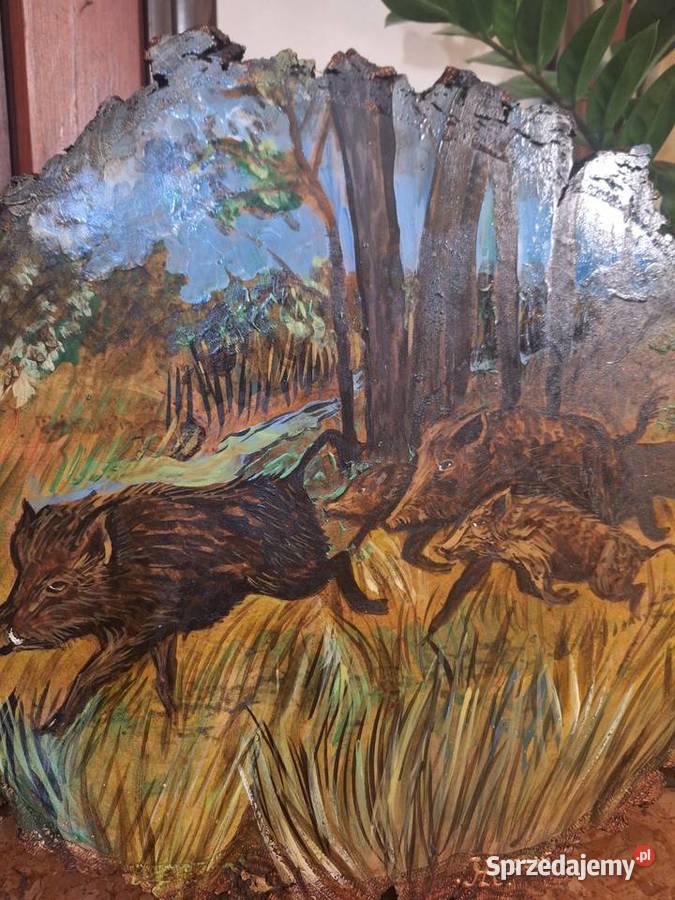 Obraz malowany ręcznieDziki w lesie podkarpackie Strzyżów