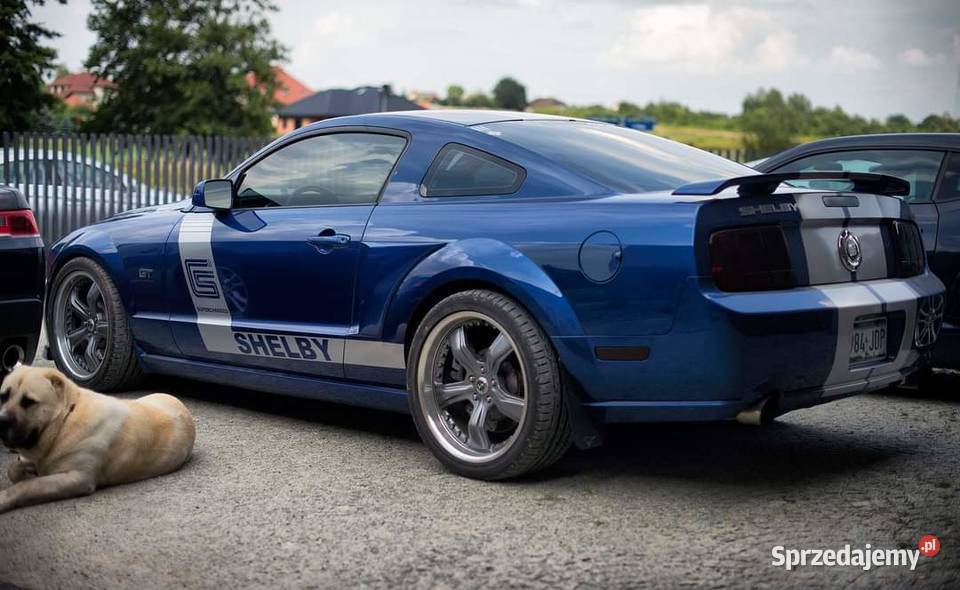 SHELBY CS8 PROTOTYPE unikat w Mustang