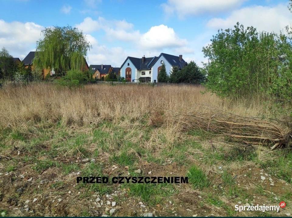Koszenie traw nieużytków mulczer Karczowanie i usuwanie drzew Piaseczno prace ogrodowe