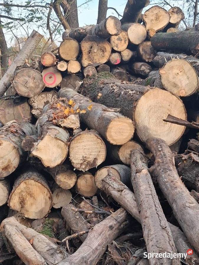 Sprzedam drewno opałowe Zgierz