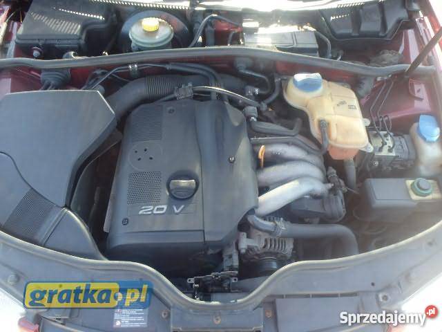 Volkswagen Passat B5 anglik Marchewki