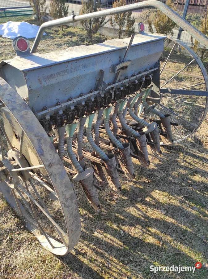 Sprzedam siewniki Wielkie Oczy