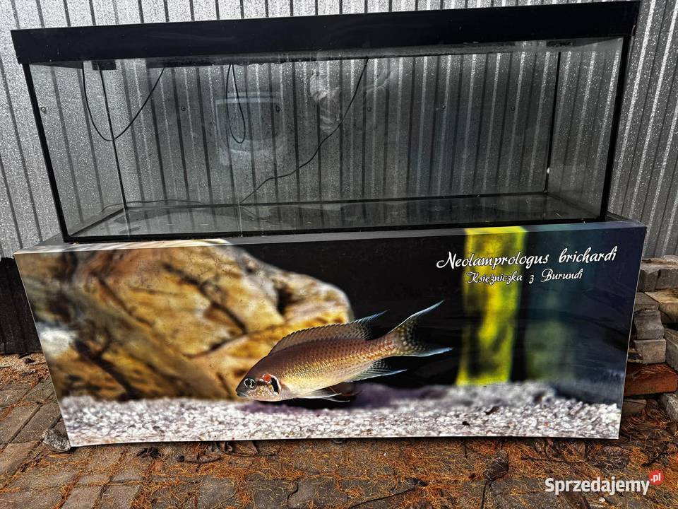 Akwarium 300 litrów Szafka Obudowa Osłona Rydułtowy