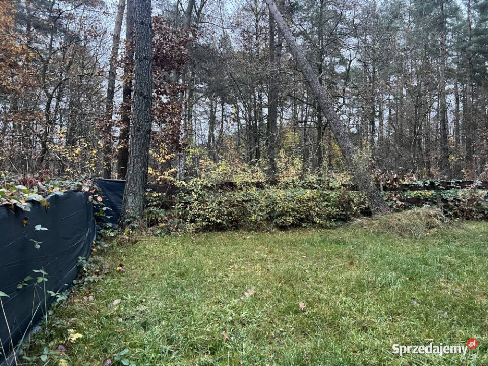 Działka leśna ZL ogrodzona jeziorem 301m2 Borkowo