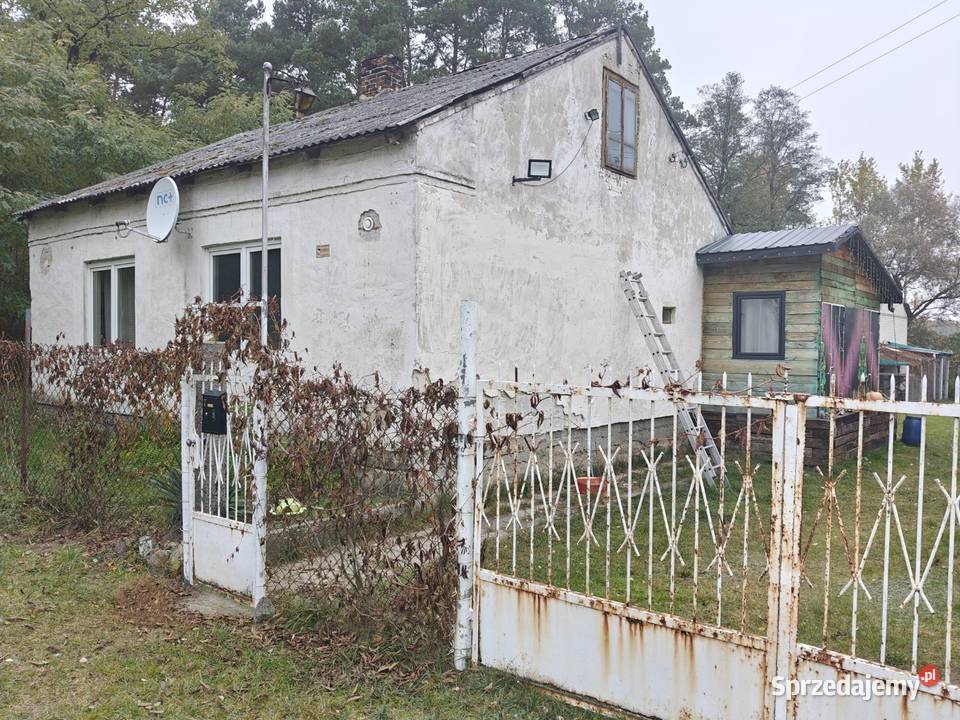 Syndyk sprzeda Karolew