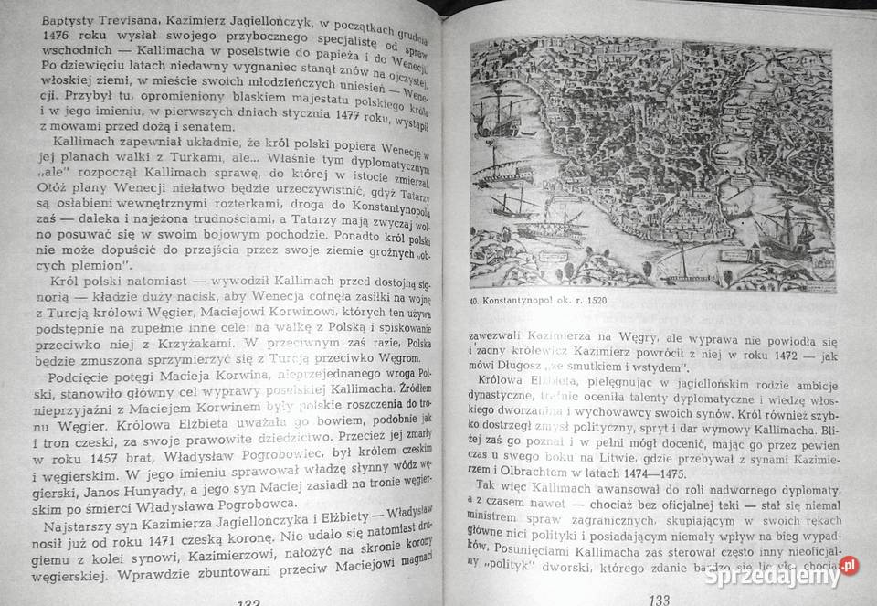 Kallimach doświadczony Joanna Olkiewicz Chełm