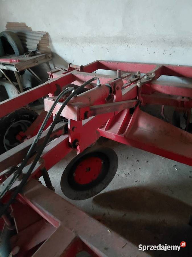 Talerzówka souchu pinet podlaskie