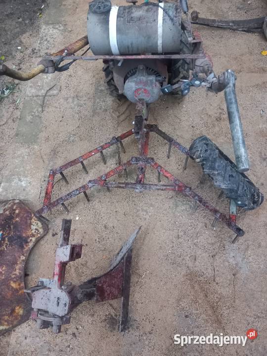 Sprzedam Traktor dzik TF 70 Morąg