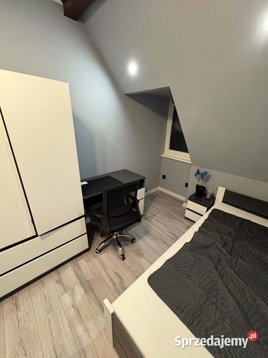 Mieszkanie Pleszew 585m2 2 piętra sprzedam