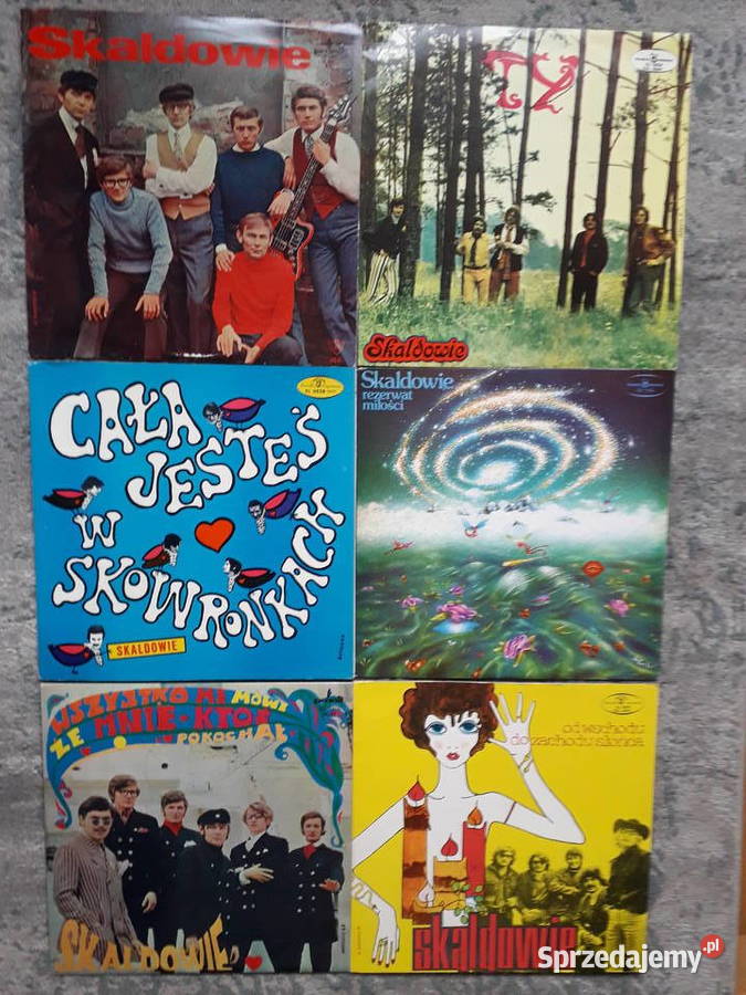 płyty Skaldowie super stany nowe Szczecin