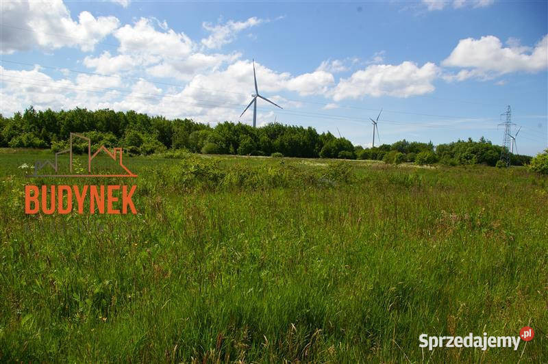 Działka siedliskowa Jeżyce Sprzedaż