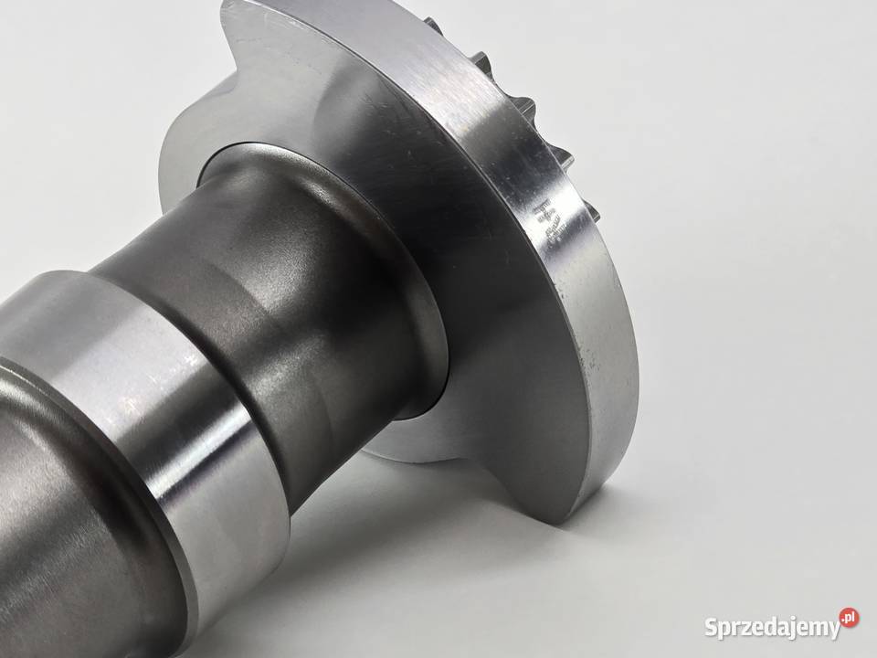 Walek Wyrownawczy Walek Wyrownowazajacy Bmw Gs Łańcuchy i napinacze rozrządu Janowice